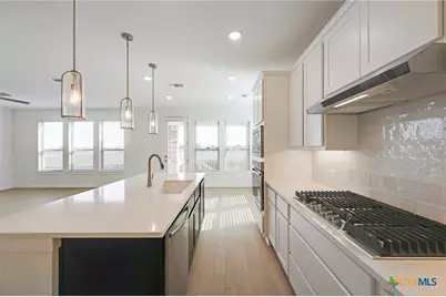 203 Bodensee Place, New Braunfels, TX 78130 - Photo 15