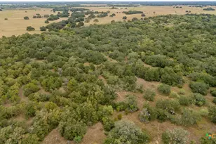 1078 Mueller Lang Rd, Cuero, TX 77954 - Photo 3