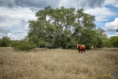 1078 Mueller Lang Road, Cuero, TX 77954 - Photo 11