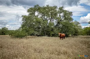 1078 Mueller Lang Rd, Cuero, TX 77954 - Photo 11