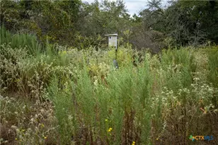 1078 Mueller Lang Rd, Cuero, TX 77954 - Photo 13