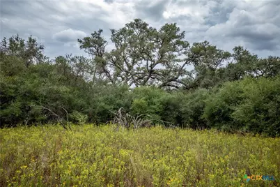 1078 Mueller Lang Road, Cuero, TX 77954 - Photo 29