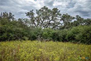 1078 Mueller Lang Rd, Cuero, TX 77954 - Photo 29