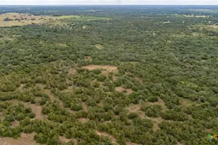 1078 Mueller Lang Rd, Cuero, TX 77954 - Photo 7