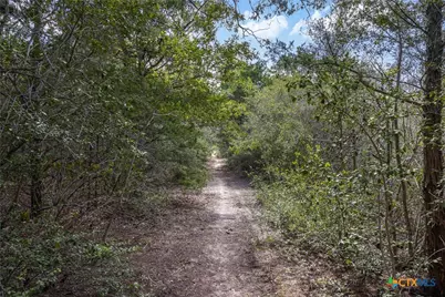 2135/2025 Mule Creek Road, Harwood, TX 78632 - Photo 27