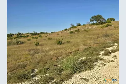 229 Grand Canyon Drive, Oglesby, TX 76561 - Photo 9