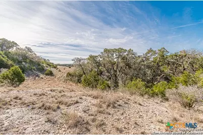 126 Riddle, Spring Branch, TX 78070 - Photo 13