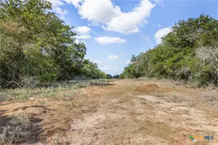 2135-2025 Mule Creek Rd, Harwood, TX 78632 - Photo 21