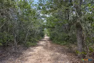 2135-2025 Mule Creek Rd, Harwood, TX 78632 - Photo 25