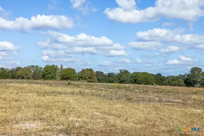 2135 Mule Creek Road, Harwood, TX 78632 - Photo 5