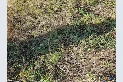 Tbd County Road 251, Gatesville, TX 76528 - Photo 21