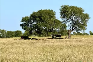 5132 Eddy-Gatesville Pkwy, Moody, TX 76557 - Photo 27