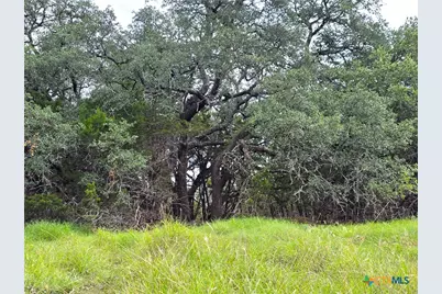 728 Cr 206, Lampasas, TX 76550 - Photo 5