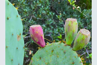 728 Cr 206, Lampasas, TX 76550 - Photo 13
