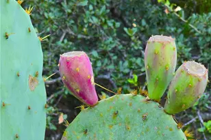 728 Cr 206, Lampasas, TX 76550 - Photo 13
