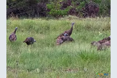 728 Cr 206, Lampasas, TX 76550 - Photo 9