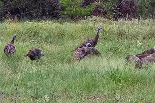 728 Cr 206, Lampasas, TX 76550 - Photo 9