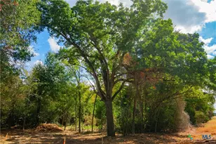 5131 N State Hwy, Hearne, TX 77859 - Photo 7