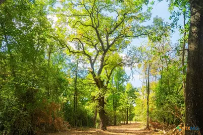 5131 N State Highway, Hearne, TX 77859 - Photo 9