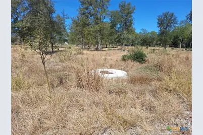 921 Country Club Drive, Seguin, TX 78155 - Photo 5