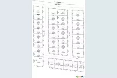 921 Country Club Drive, Seguin, TX 78155 - Photo 1