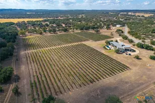 1758 Lincoln Smith Rd, Round Mountain, TX 78663 - Photo 47