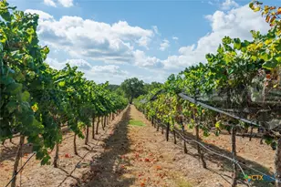1758 Lincoln Smith Rd, Round Mountain, TX 78663 - Photo 43