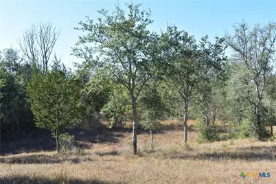 Tbd County Road 481, Gonzales, TX 78629 - Photo 5