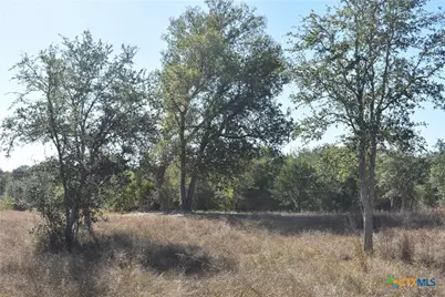 Tbd County Road 481, Gonzales, TX 78629 - Photo 19