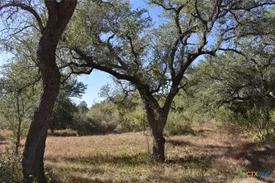 Tbd County Road 481, Gonzales, TX 78629 - Photo 15