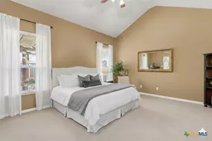 2909 Oak Branch Ridge, New Braunfels, TX 78130 - Photo 13