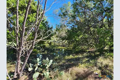 Lot 73 Shin Oak Drive, Lampasas, TX 76550 - Photo 17