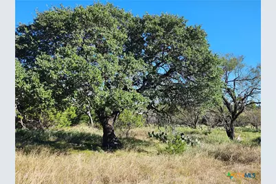 Lot 73 Shin Oak Drive, Lampasas, TX 76550 - Photo 1