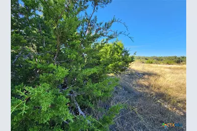 Lot 73 Shin Oak Drive, Lampasas, TX 76550 - Photo 9
