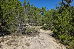 Lot 74 Bluff View Rd, Kempner, TX 76539 - Photo 7