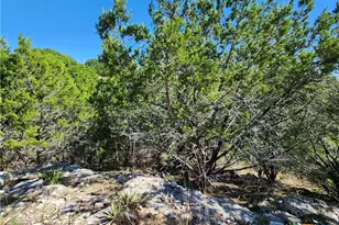 Lot 74 Bluff View Rd, Kempner, TX 76539 - Photo 15