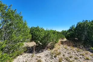 Lot 74 Bluff View Rd, Kempner, TX 76539 - Photo 5