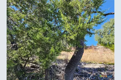 Lot 74 Bluff View Road, Kempner, TX 76539 - Photo 23
