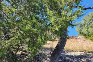 Lot 74 Bluff View Rd, Kempner, TX 76539 - Photo 23