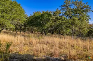 Tract 17 & 18 Sandstone Ln, Seguin, TX 78155 - Photo 5