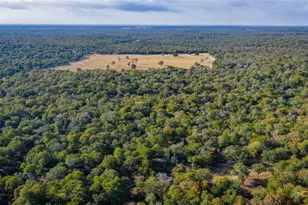 Tract 17 & 18 Sandstone Ln, Seguin, TX 78155 - Photo 19