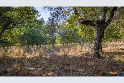 Tract 17 & 18 Sandstone Ln, Seguin, TX 78155 - Photo 9