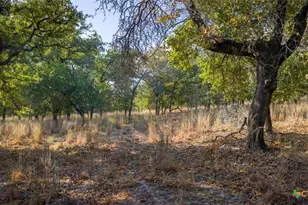 Tract 17 & 18 Sandstone Ln, Seguin, TX 78155 - Photo 9