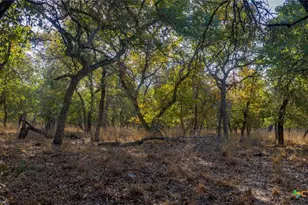 Tract 17 & 18 Sandstone Ln, Seguin, TX 78155 - Photo 3