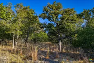 Tract 17 & 18 Sandstone Ln, Seguin, TX 78155 - Photo 7