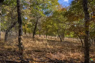 Tract 17 & 18 Sandstone Ln, Seguin, TX 78155 - Photo 11