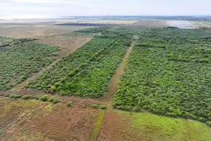 516 Co Rd 302, Port Lavaca, TX 77979 - Photo 3