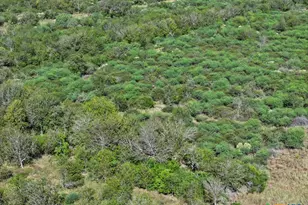 516 Co Rd 302, Port Lavaca, TX 77979 - Photo 11