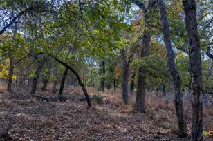 Tract 14 Sandstone Ln, Seguin, TX 78155 - Photo 9