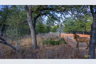 Tract 14 Sandstone Ln, Seguin, TX 78155 - Photo 5